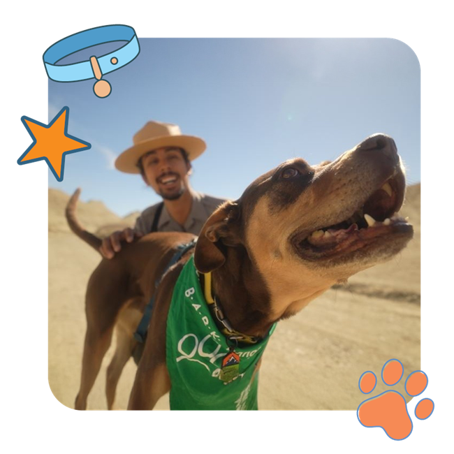 A joyful dog and its human companion are outdoors, basking in the sunshine. The dog’s happiness is palpable, with its wide grin capturing the spirit of adventure and friendship. Playful graphics frame the scene, enhancing the image’s lively mood.