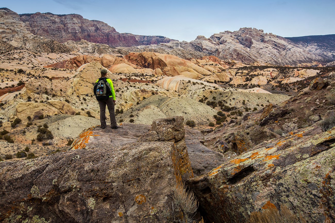 Person standing among widely colored rock layers