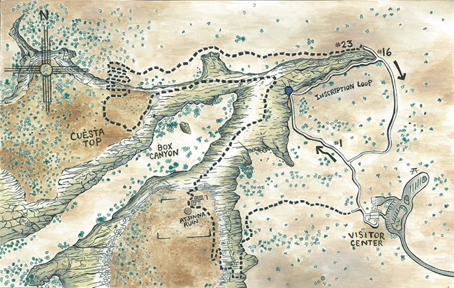 A map showing a short trail with a solid white line and a long trail with a dashed black line.