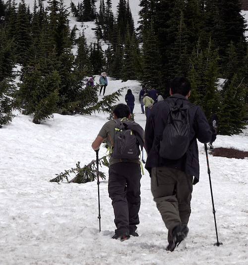 Dos excursionistas con bastones de trekking y mochilas siguen a otras personas por una pendiente nevada.