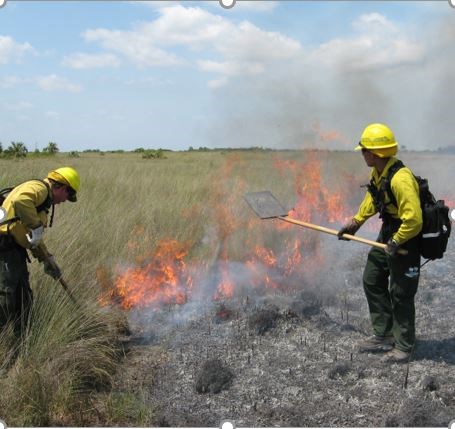 Firefighters suppressing wildfire