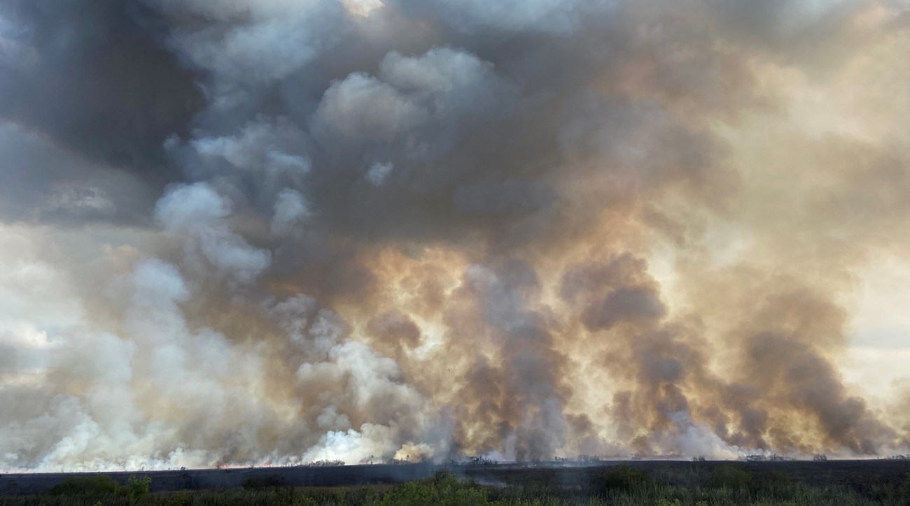 Fire in the Everglades