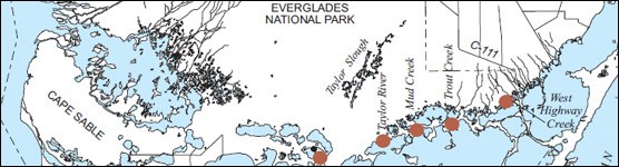 Monitoring Stations in Northeast Florida Bay