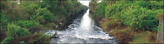 Surface-water flow in Merritt Canal