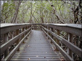 West Lake boardwalk