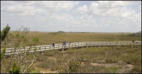 Boardwalk to Pahayokee Overlook