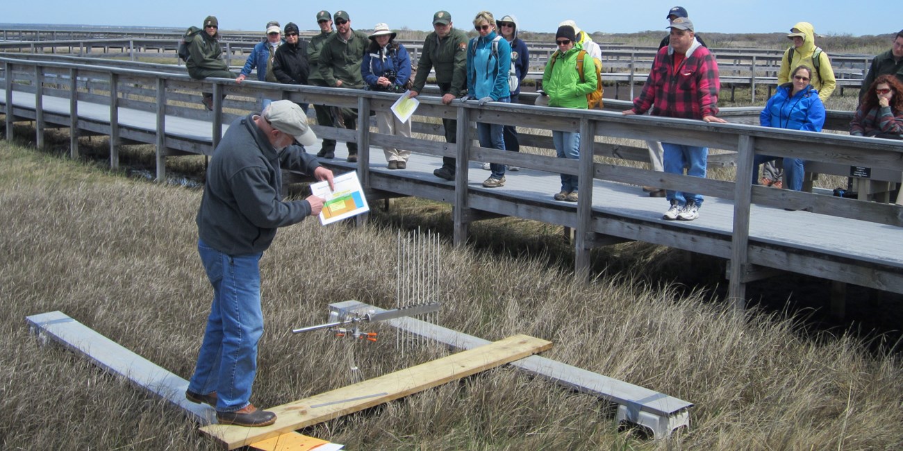 Dr. Charles Roman describes the Surface Elevation Table study.