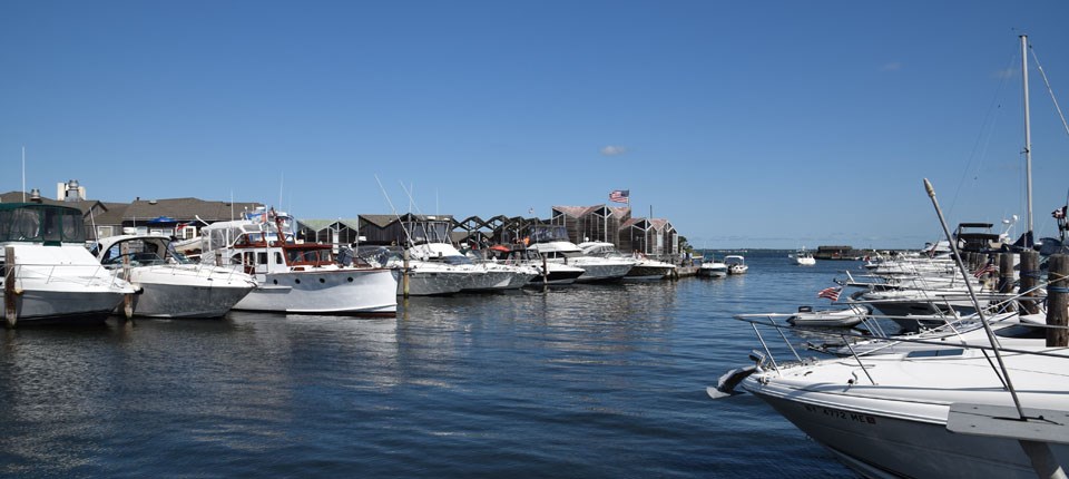 View of facilities and marina filled with boats.