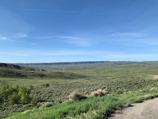 A road winds its way into the distance amid bright green shrubbery with blue sky above.