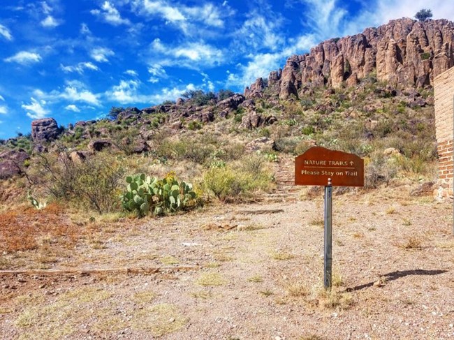 Trail on mountain side.