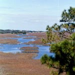 Explore the various habitats on a ranger-led walk.