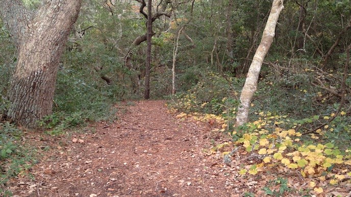 The Thomas Hariot Trail