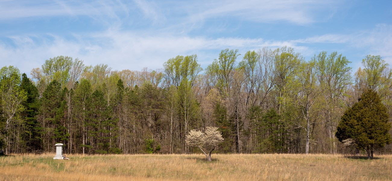 A stone monument in the distance across a long field.