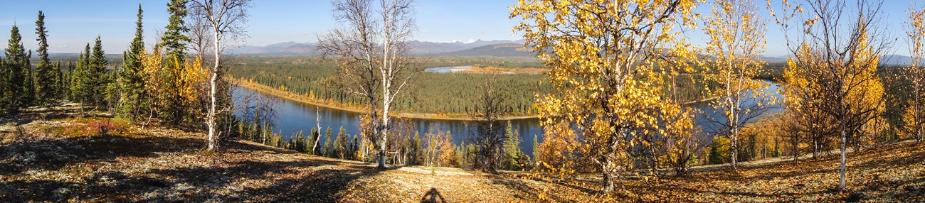 Panoramic photo overlooking Kobuk River drainage in fall colors