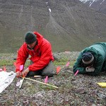 Archaeologists at work