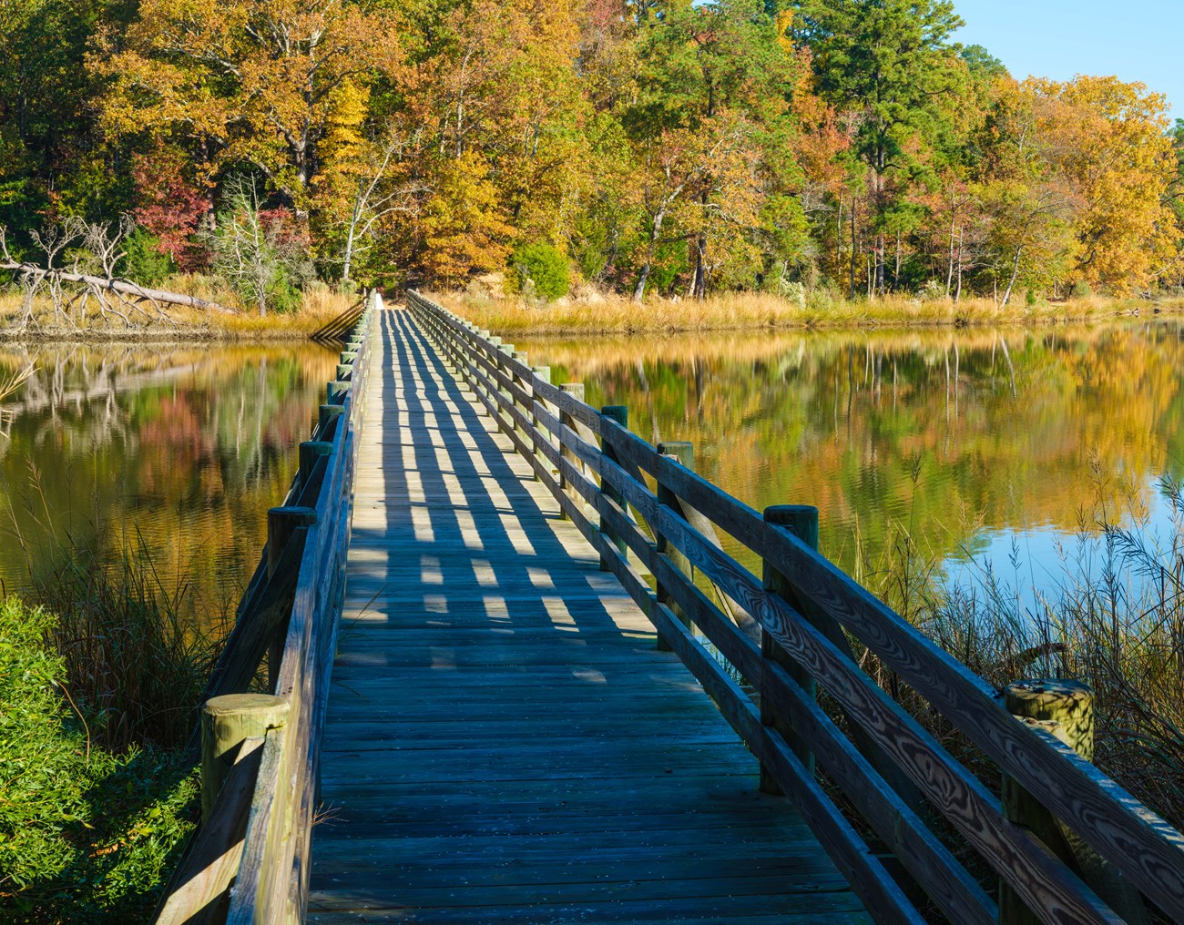 bridge leading over water, shore on other side shows trees with reds, yellows, and green showing that its Fall.