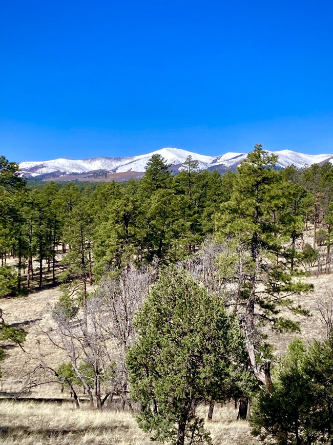 A mountain range with white snow covering the tops of the mountains