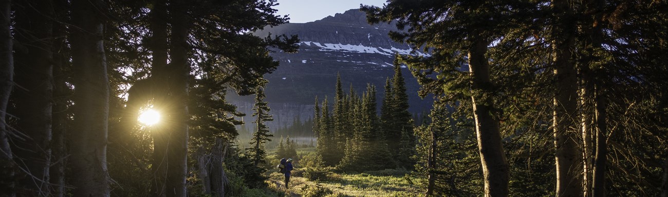 A backpacker stands along the trail in sunny woods.