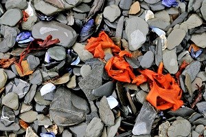 red seaweed on a rocky beach