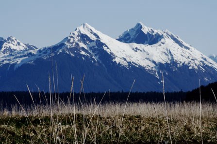 Glacier Bay scenery