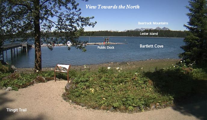 View of the Tlingit Trail and public-use dock in Bartlett Cove