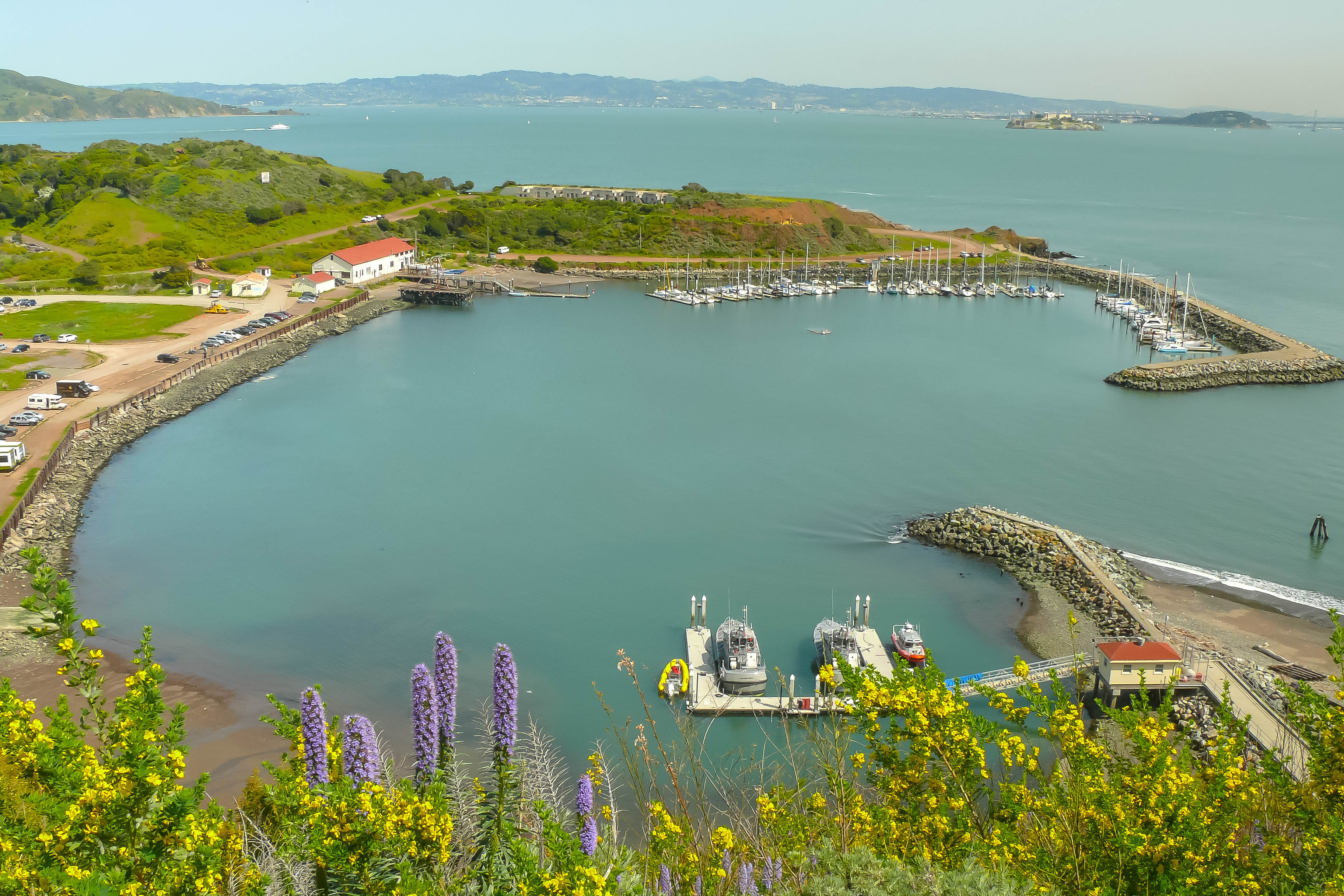 Fort Baker Marina as seen from hillside with flowers in foreground and historic boathouse in distance.