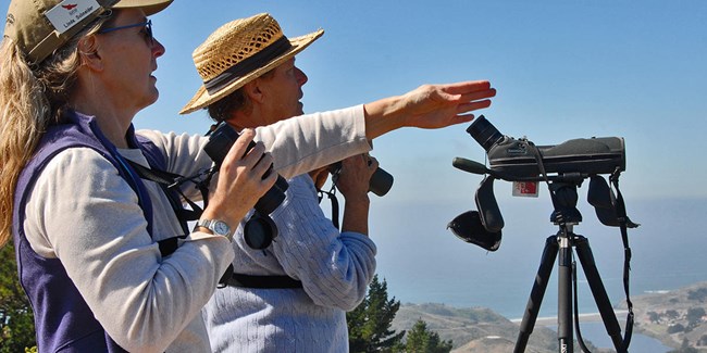 Two hawkwatchers scan the west quadrant with binoculars.