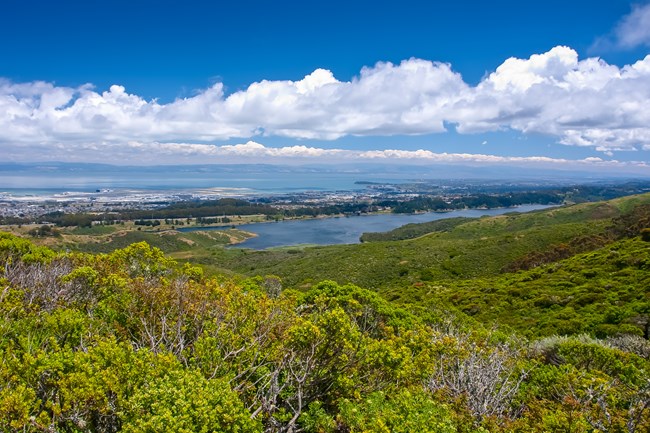 Green slopes lead down to an open bay. White puffy clouds fill the sky.