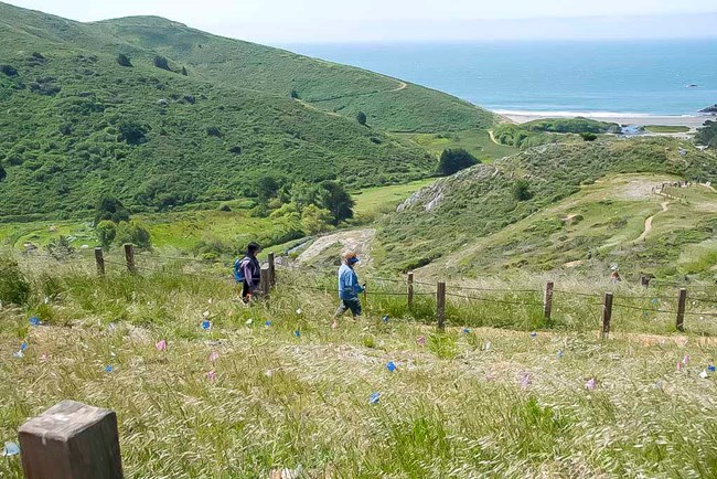 A trail runs through grass covered hills down to an enclosed cove.