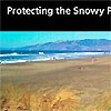 A view of the Snowy Plover nesting habitat at Ocean Beach.