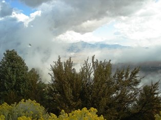 Mt. Mahogany