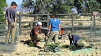 Student Conservation Association Native Plant Corps Team working.