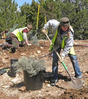 vegetation restoration project