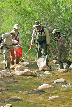 4 members of the electrofishing crew.