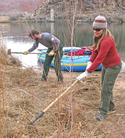 A man and a woman with tools improving the Lees Ferry Private Boaters Campsite. Feb 2010