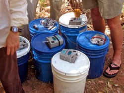 6 buckets fitted with aerators