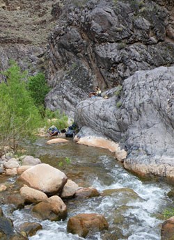 biologists working by the creek.