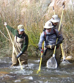 Electrofishing