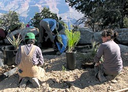 Crews restored almost four acres of disturbed land