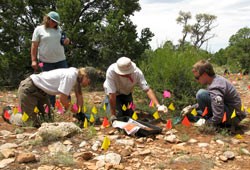 The vegetation crew at work.