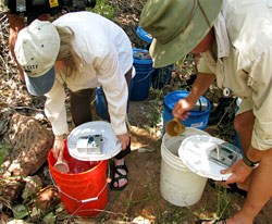 a slow tempering process took place , cup by cup.