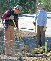 Volunteers are essential