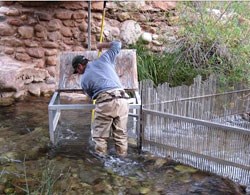 Biologist operating the weir in Bright Angel Creek.