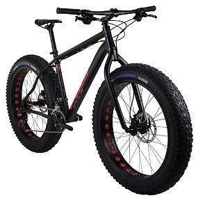 Fat Bike