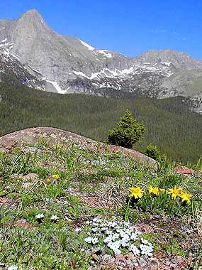 Upper Sand Creek Basin from Music Pass