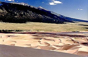 Barchan dunes near Medano Creek join together to become transverse dunes