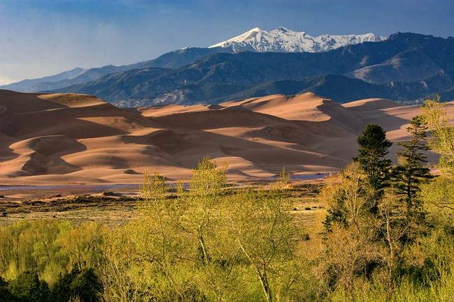 Cottonwood trees, grasslands, a creek, dunes, and a snow-covered mountain show the diversity of the park and preserve.