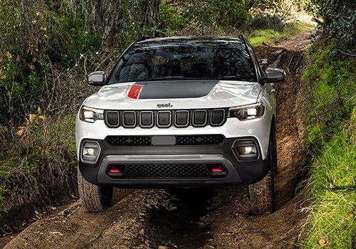 A Jeep on a forested road