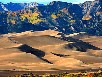 Gold aspens above dunes