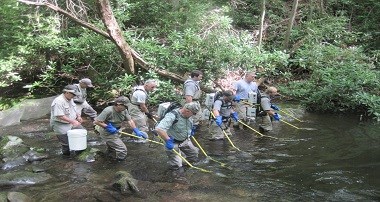 A fisheries crew and volunteers electrofish in a stream